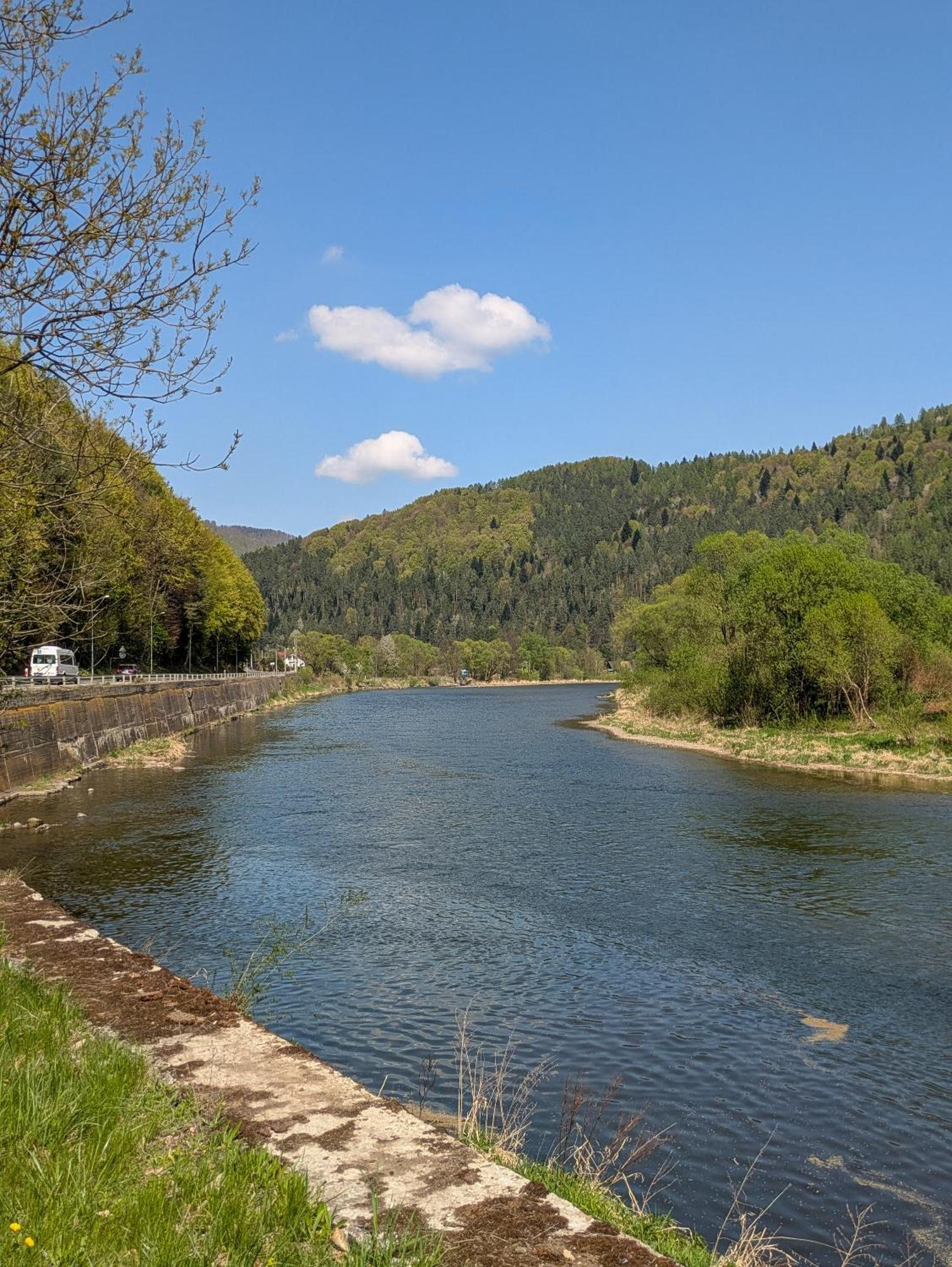 Sloneczne Domki Kroscienko nad Dunajcem ภายนอก รูปภาพ